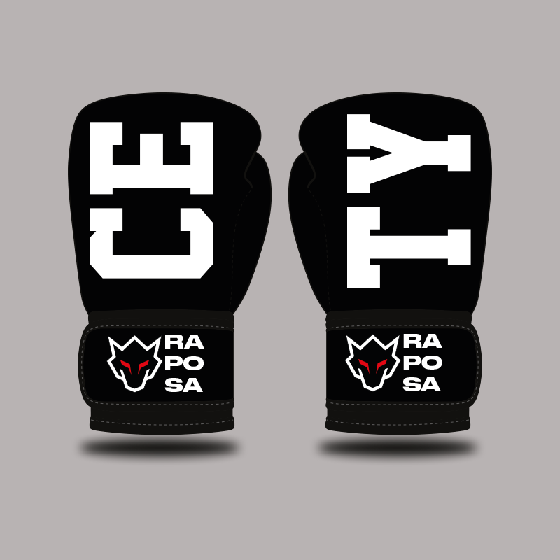 Gants de Boxe TYCE x RAPOSA