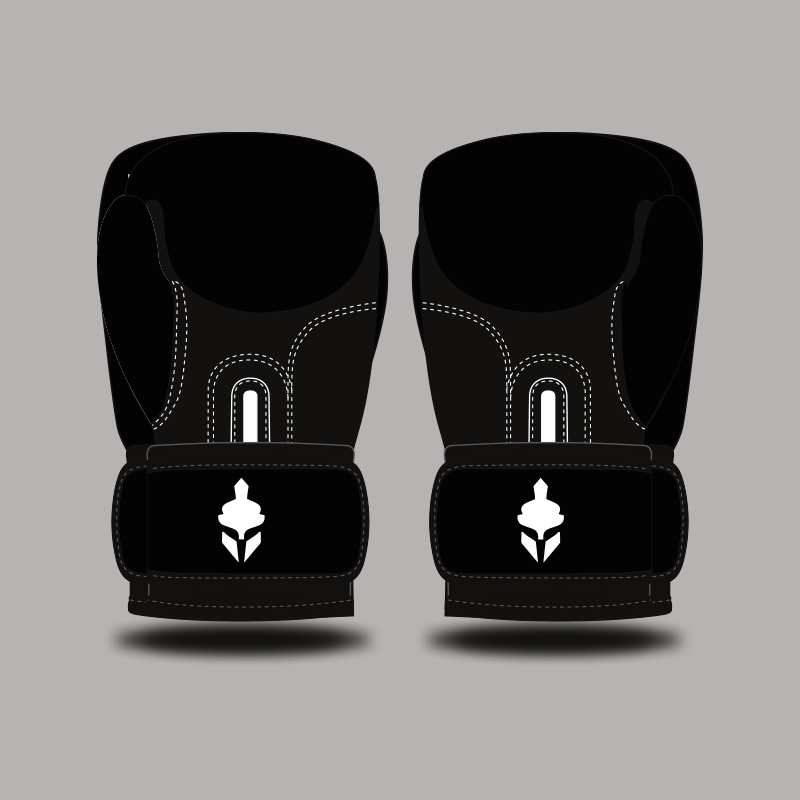 Gants de Boxe TYCE x RAPOSA