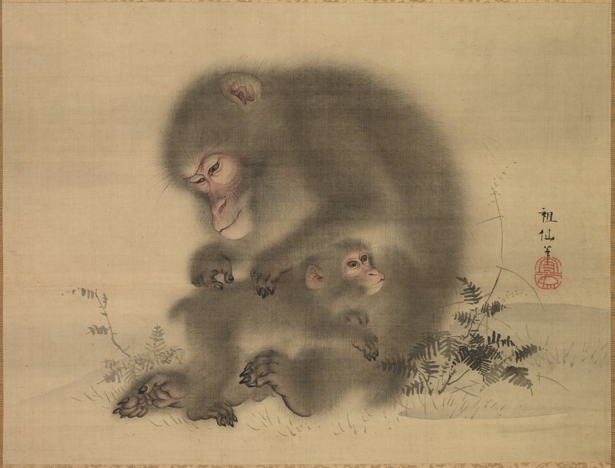 MONKEYBOX
