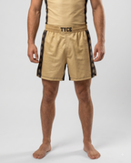 Short de combat TYCE 7 Guerriers Alexandre le Grand - detail jambes